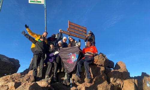 Group of volunteers at mountain peak