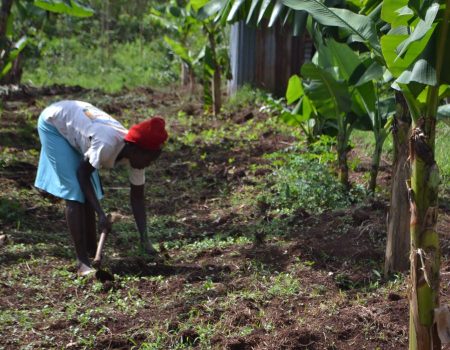 Woman farming in African community